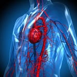 intermittent fasting and heart attacks